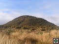 thn_Steward Island 013.jpg
